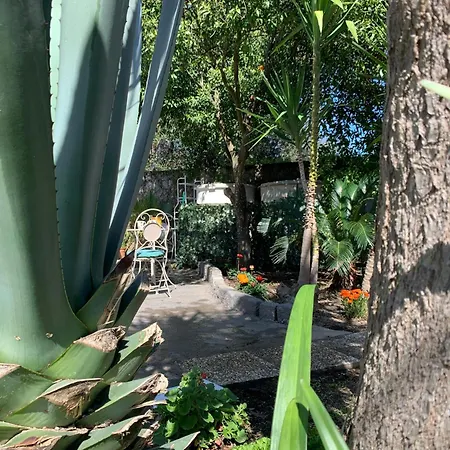 Casetta Nel Giardino -ischia *