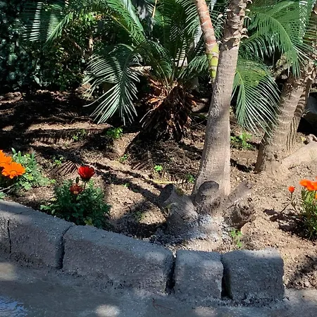 Casetta Nel Giardino -ischia Apartment Ischia