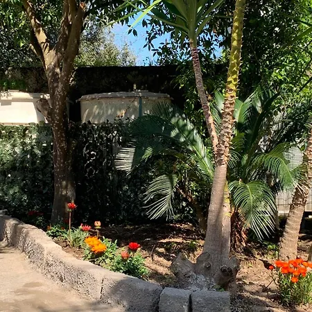 Casetta Nel Giardino -ischia 公寓