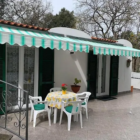 Casetta Nel Giardino -ischia 公寓
